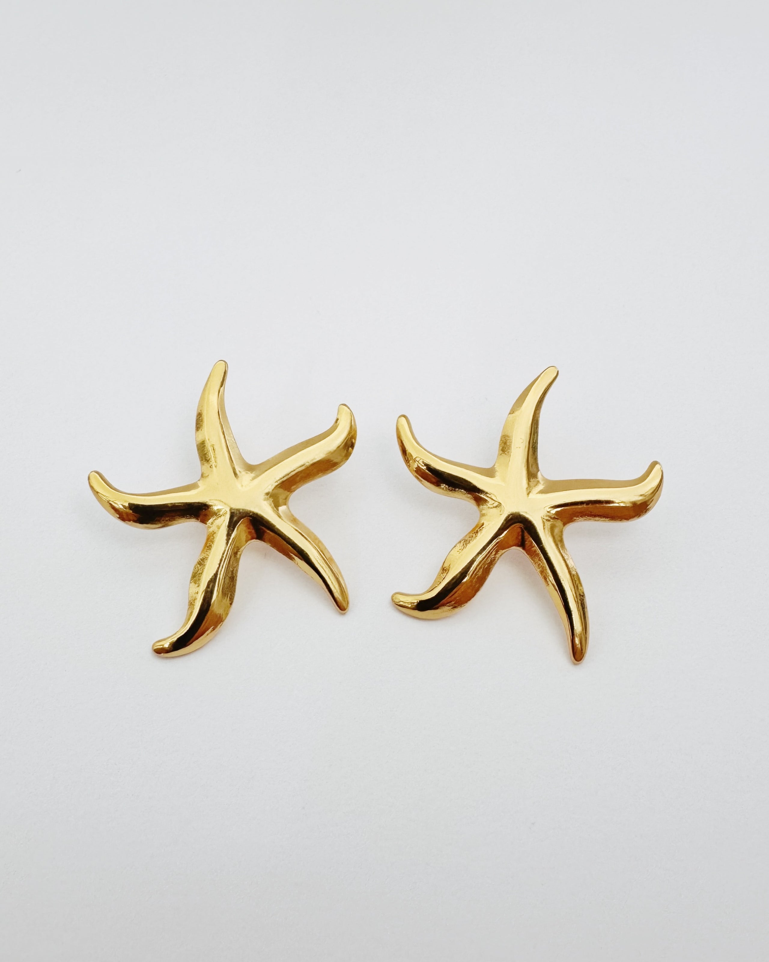 Aretes de estrella de mar