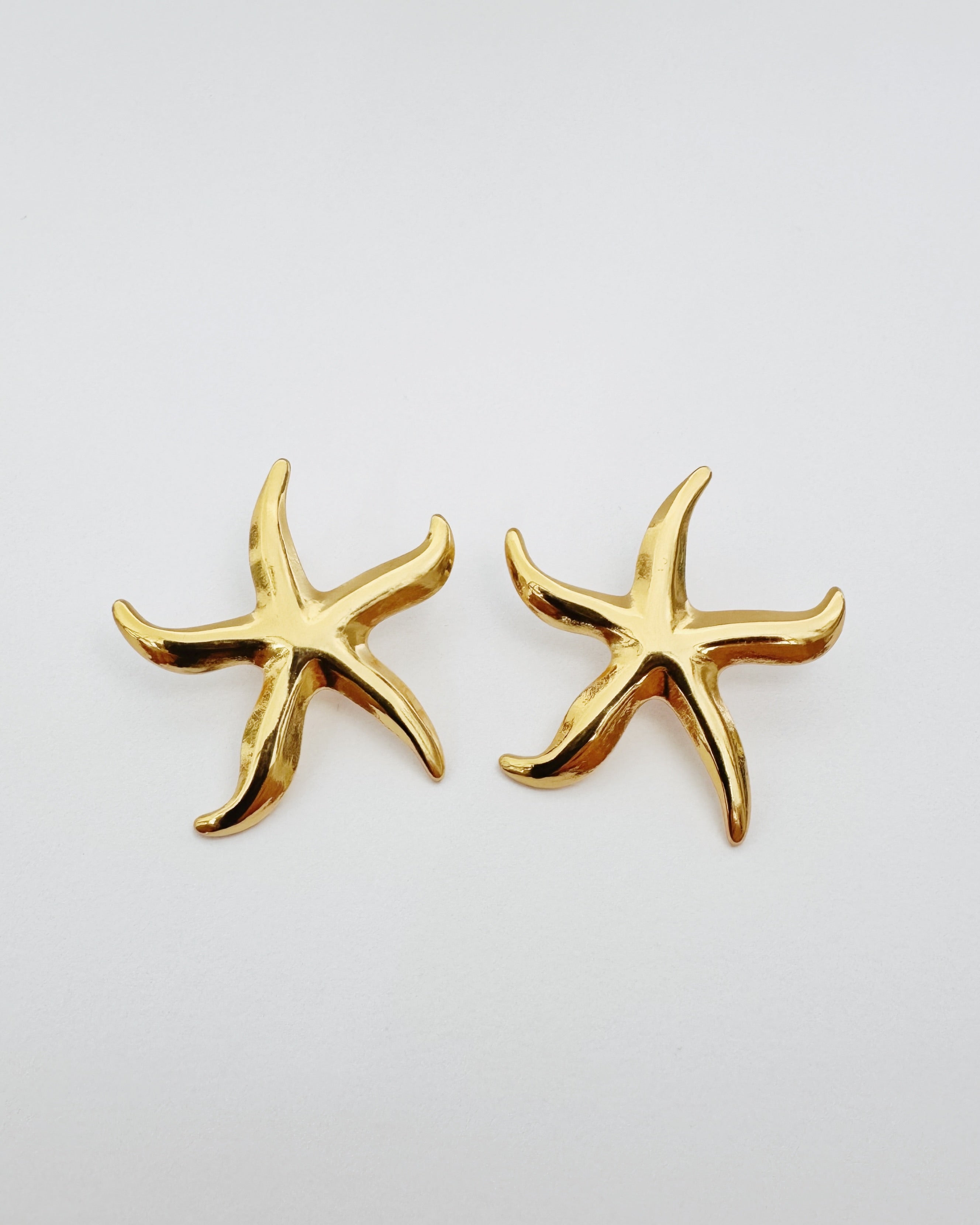 Aretes de estrella de mar